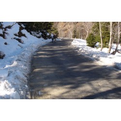Honeymoon in Manali Ex Delhi - 3N / 4D