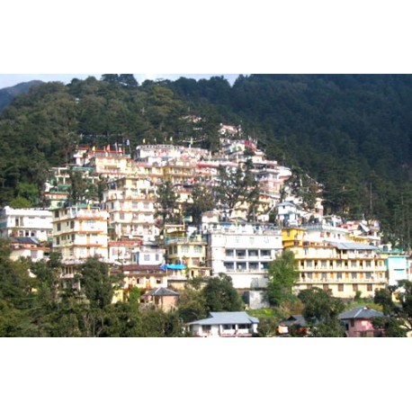 Delightful Dharamshala - 3N / 4D