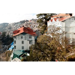 Hotel Shingar, Shimla - 2N / 3D