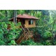 Planet Green Plantation Resorts, Wayanad- 2N / 3D