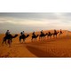 Rajasthan Desert Tour- 4N / 5D