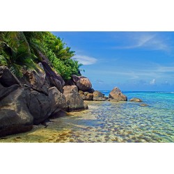 Exotic Seychelles - 3N / 4D